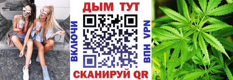 KRAKEN как войти  Новый Оскол  даркнет какой сайт  Шишки марихуана сатива 